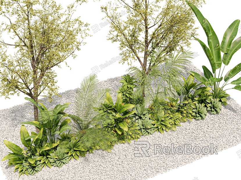 plant combination green plant landscape plant landscape plant garden plant tropical plant model