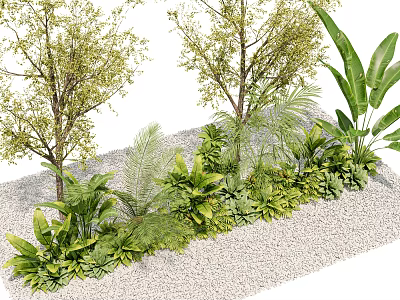 Lush Green Plants with Diverse Leaf Shapes and Pebble Ground Setting 3d model