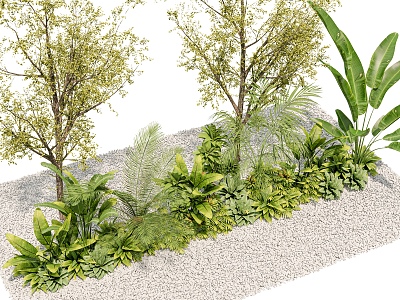 plant combination green plant landscape plant landscape plant garden plant tropical plant model