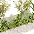 Lush Green Plants with Diverse Leaf Shapes and Pebble Ground Setting