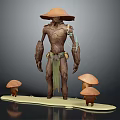 Nature Inspired Wooden Character With Conical Hat Green Cloth Sash And Small Mushrooms