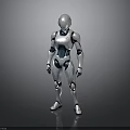 Humanoid Robot With White Blue Mechanical Structure Standing On Reflective Surface