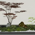 Delicate Miniature Garden Arrangement With Red Leaf Tree Rocks Green Moss And Small Plants