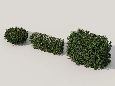 Healthy Green Trimmed Shrubs with Various Shapes for Garden Landscaping 3d model