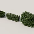 Healthy Green Trimmed Shrubs with Various Shapes for Garden Landscaping