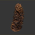 Pine cone plant game item 3d model