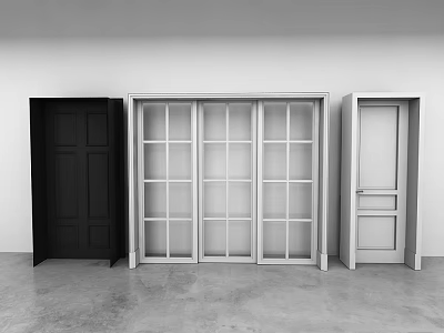 Modern Hinged Doors In Black And Silver With Panel And Glass Details 3d model