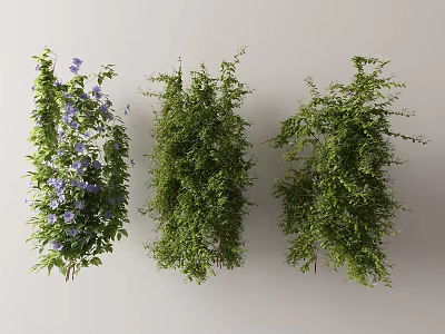 Three Types of Lush Green Vines Featuring Purple Flowers and Decorative Foliage 3d model