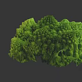 Fresh Romanesco Broccoli With Unique Spiral Structure And Vibrant Green Color