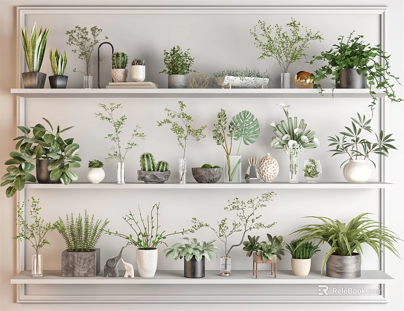 Decorative Bonsai and Potted Plants Arranged on Multi Layered Shelves with Various Pots and Greenery 3d model 