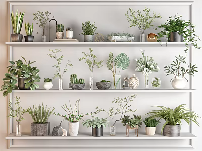 Decorative Bonsai and Potted Plants Arranged on Multi Layered Shelves with Various Pots and Greenery 3d model