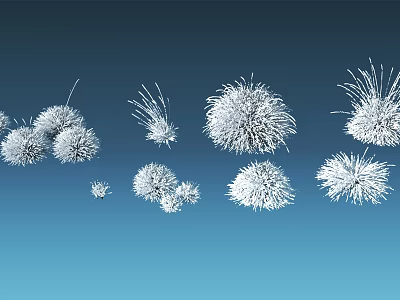 White Fluffy Dandelion Like Flowers With Various Shapes Sizes And Blue Gradient Background 3d model