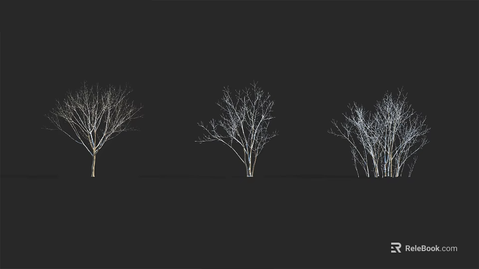 Leafless Trees Silhouette With Multiple Trunks And Different Shapes On Black Background 3d model