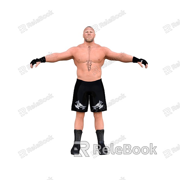 WWE Players model