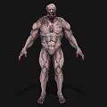 Game Movie Monster Character With Muscular Body Gray Skin Bloody Details And Scary Face