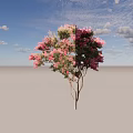 Vibrant Garden Arbor With Pink Blossoms And Green Leaves On Graceful Branches