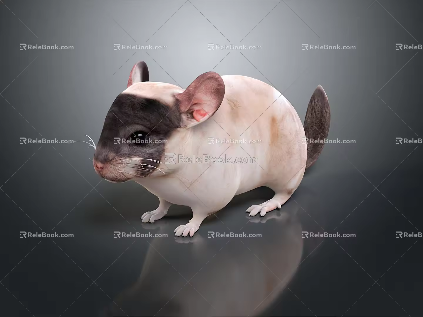 Mouse Wizard Mouse Warlock Cartoon Mouse Animation Mouse Animation Mouse Cartoon Character Cartoon Animal 3d model