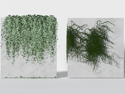 Lush Green Vines Growing On White Wall With Hanging Branches And Dense Foliage 3d model