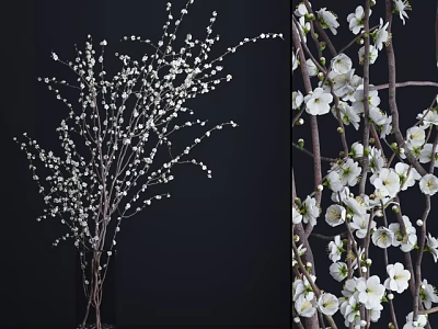 Elegant White Blossom Flower Vase with Branches on Dark Background 3d model