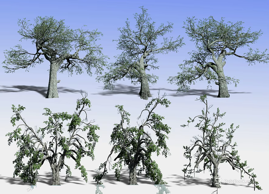 Various Types of Deciduous Trees with Green Leaves and Bare Branches in Natural Scene 3d model 