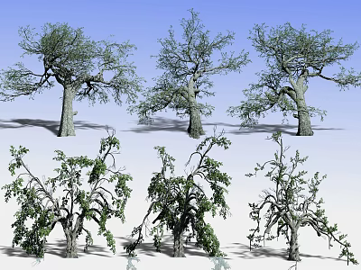Various Types of Deciduous Trees with Green Leaves and Bare Branches in Natural Scene 3d model