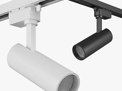 Cylindrical Track Mounted White Black Downlights And Spotlights With Modern Design 3d model