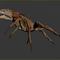 Brown Crab With Large Claws Long Legs And Reflection On Gray Background 3d model
