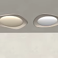 Irregular ceiling lamp 3d model