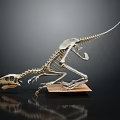 modern skeleton dinosaur skeleton animal skeleton 3d model
