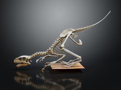 modern skeleton dinosaur skeleton animal skeleton 3d model