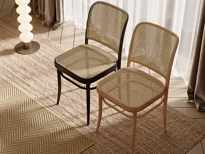 Two Stylish Rattan Leisure Chairs in Cozy Indoor with Woven Rug Floor Lamp and Curtains 3d model