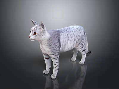 Gray Spotted Cat Standing On Reflective Surface With Silver Fur And Dark Background 3d model