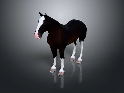 Black And White Horse Standing With White Face Legs And Reflection On Gray Background 3d model