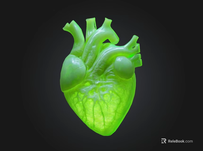 Glowing Green Anatomical Heart Model On Black Background With Detailed Structure 3d model 