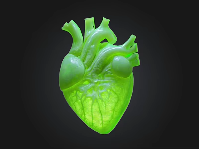 Glowing Green Anatomical Heart Model On Black Background With Detailed Structure 3d model