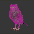 Realistic Gray Plumage Owl with Blue Eyes White Claws Standing on Dark Background