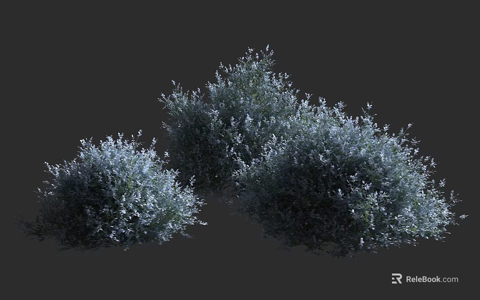 Lush Dense Green Bushes With Small White Flowers And Clustered Growth 3d model 