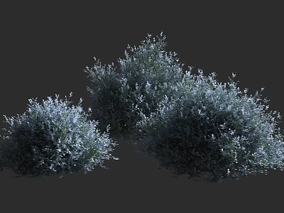 Lush Dense Green Bushes With Small White Flowers And Clustered Growth 3d model