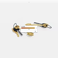 Two Golden and Black Keys with Key Rings Isolated on White Background