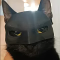 3D Designed Sleek Black Mask With Hollow Eye Forehead And Smooth Surface