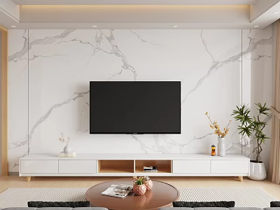 Modern TV Background Wall Marble Background Wall TV Cabinet Sofa Coffee Table Green Plant Ornaments 3d model