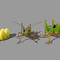 Realistic 3D Grasshopper Models With Detailed Green Bodies And Clustered Yellow Eggs