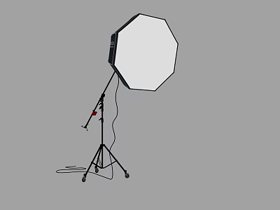 Octagonal Softbox Photography Lighting With Tripod Stand And Power Cable 3d model