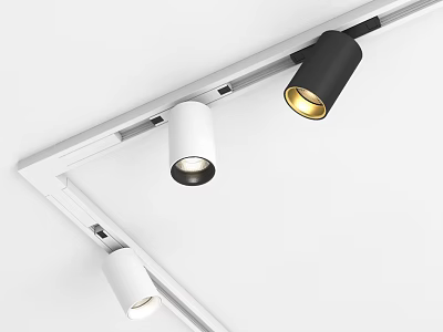 White Track Mounted Downlights And Spotlights With Black And Golden Light For Ceiling 3d model