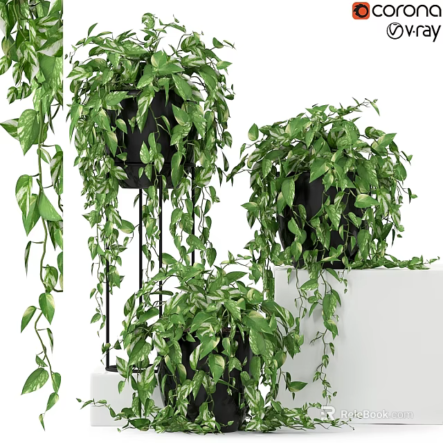 Decorative Hanging Plant Arrangement With Green Leaves Black Pots White Base And Metal Stands 3d model 