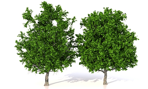 Landscape Trees Landscape Trees Plants 3d model