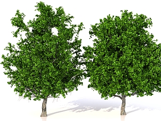 Landscape Trees Landscape Trees Plants 3d model