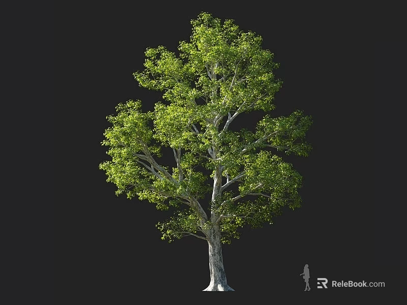Tall Arbor With Lush Green Foliage And Human Silhouette For Scale 3d model 