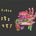 Colorful Edible Mushrooms Arranged On Hand Shaped Object With Decorative Particles