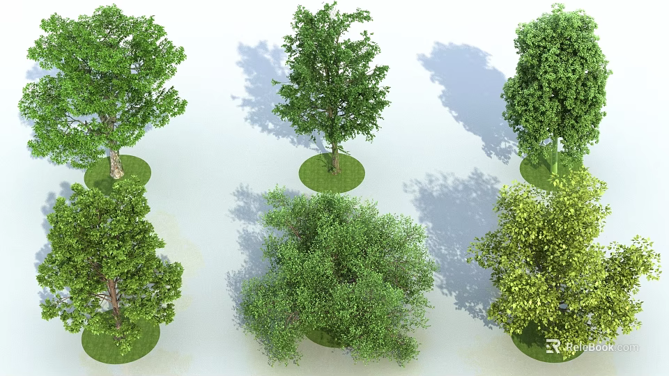Different Arbor Types Featuring Lush Green Foliage and Varied Canopy Shapes 3d model 